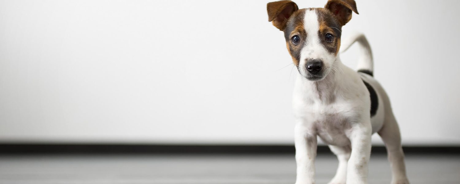 rsughnrbngerugbnoaern